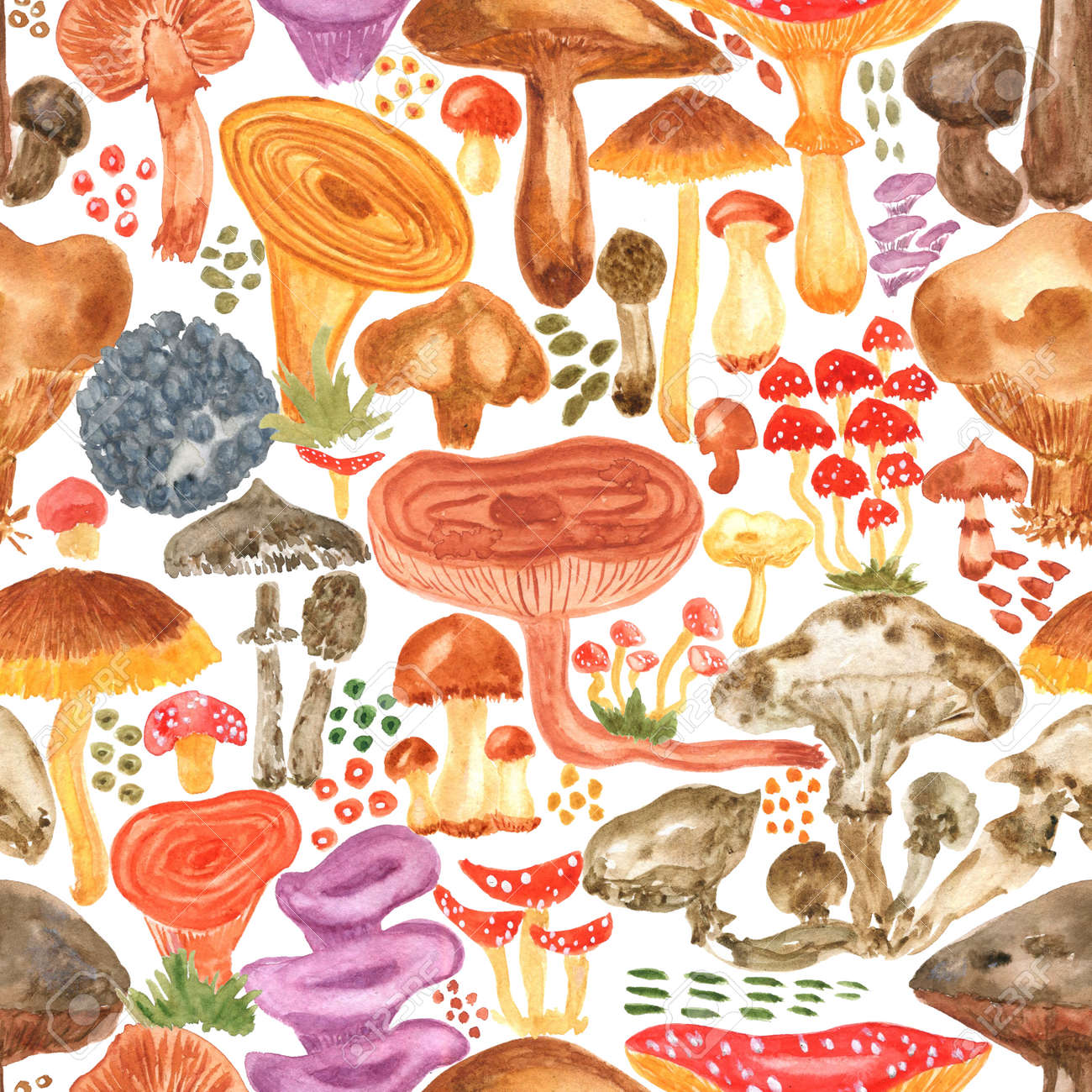 Colorful watercolor mushrooms seamless pattern. Hand Illustration for creating fabrics, wallpapers, gift wrapping paper, invitations, textile, scrapbooking. Isolated on white background. - 165387220 Colorful watercolor mushrooms seamless pattern. Hand Illustration for creating fabrics, wallpapers, gift wrapping paper, invitations, textile, scrapbooking. Isolated on white background. - 165387220