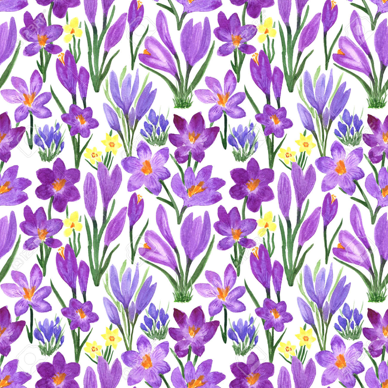 Waterclor colorful seamless pattern of spring flowers. Hand Illustration of primrose for creating fabrics, textile, decoupage, wallpapers, print, gift wrapping paper, invitations, textile. - 166064028 Waterclor colorful seamless pattern of spring flowers. Hand Illustration of primrose for creating fabrics, textile, decoupage, wallpapers, print, gift wrapping paper, invitations, textile. - 166064028