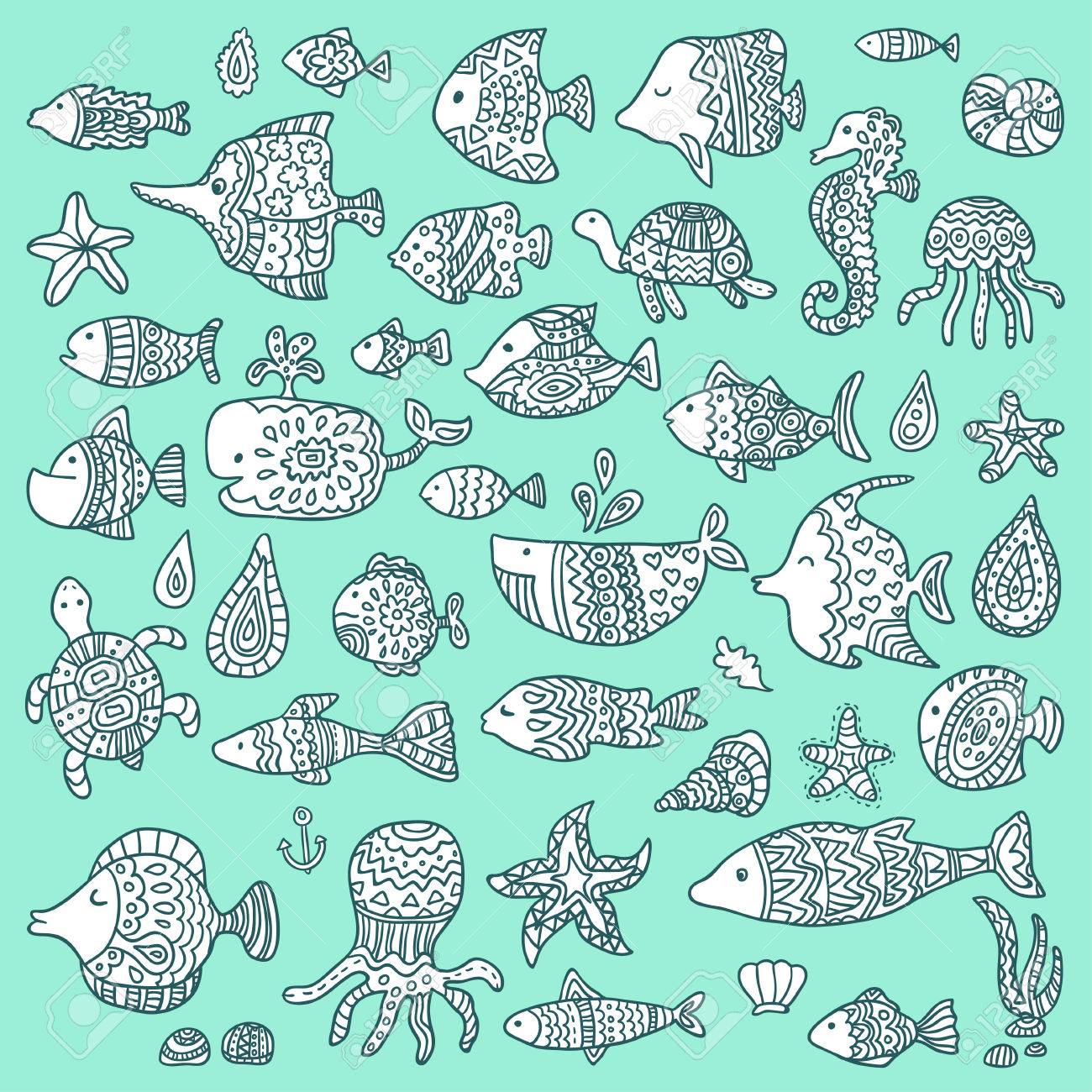 the collection of marine fish and mammalsblue green orange marine imagery