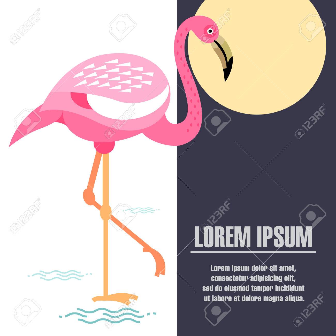 vector illustration of a flamingo template posters placard
