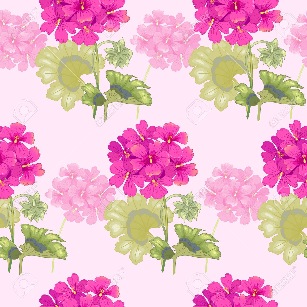 background with geranium flowers
