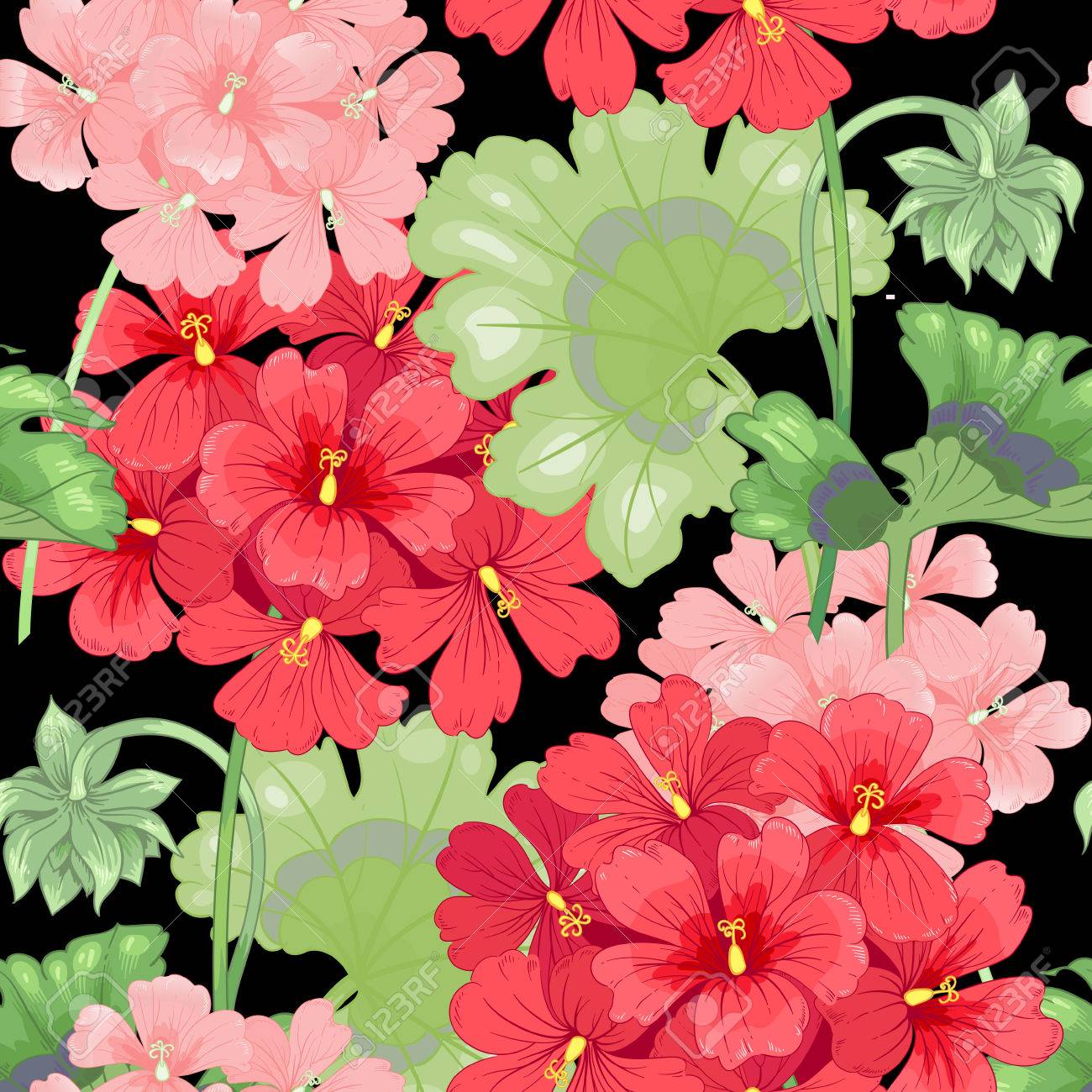 black background with geranium