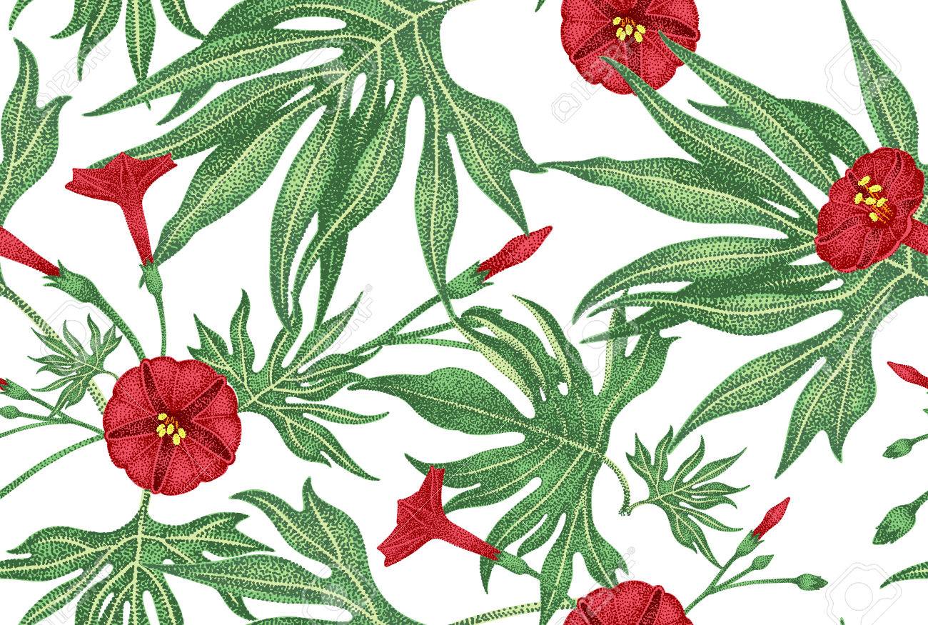 エキゾチックな登山の植物のツタ ベクターのシームレス花柄 枝 葉 白い背景の赤い花 ビンテージ スタイルのイラスト テンプレート デザイン高級包装 繊維 紙 のイラスト素材 ベクタ Image