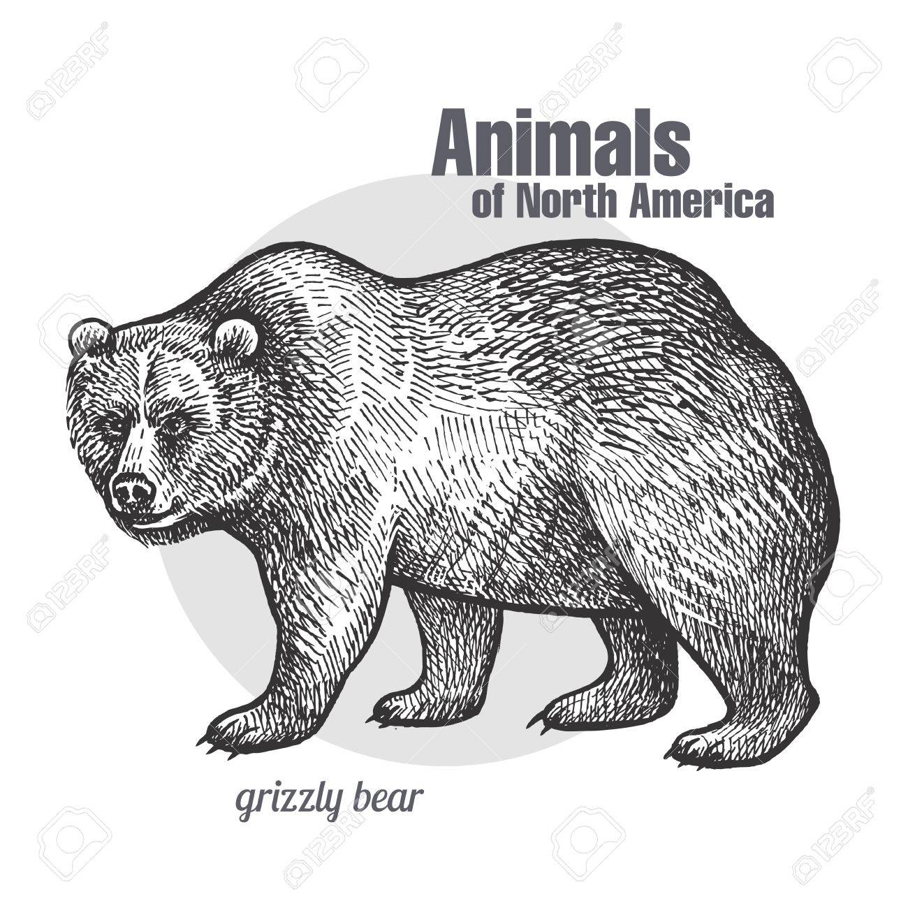 north america series