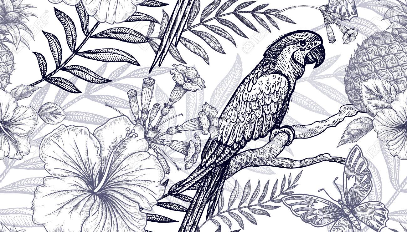 Modèle Sans Couture De Fleurs Et Oiseaux Dessin à Main Levée Noir Et Blanc Branches De Palmier Ananas Hibiscus Papillons Perroquets