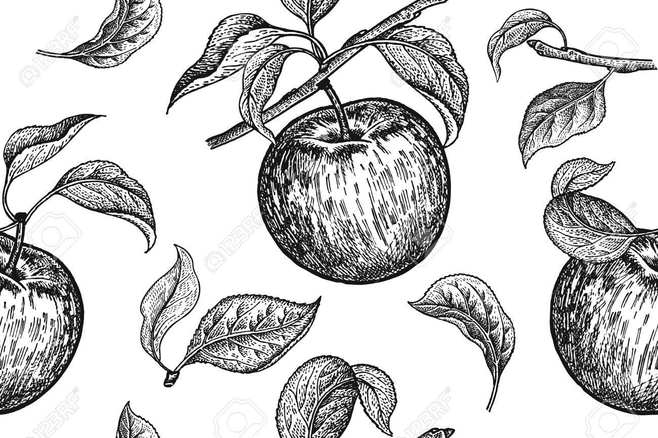 realistische straßenbeschaffenheit nahtlos nahtlose muster realistische frucht zweig und apfelbaum blatt schwarzweißvegetarisches und blatt realistische straßenbeschaffenheit nahtlos nahtlose muster realistische frucht zweig und apfelbaum blatt schwarzweißvegetarisches und blatt