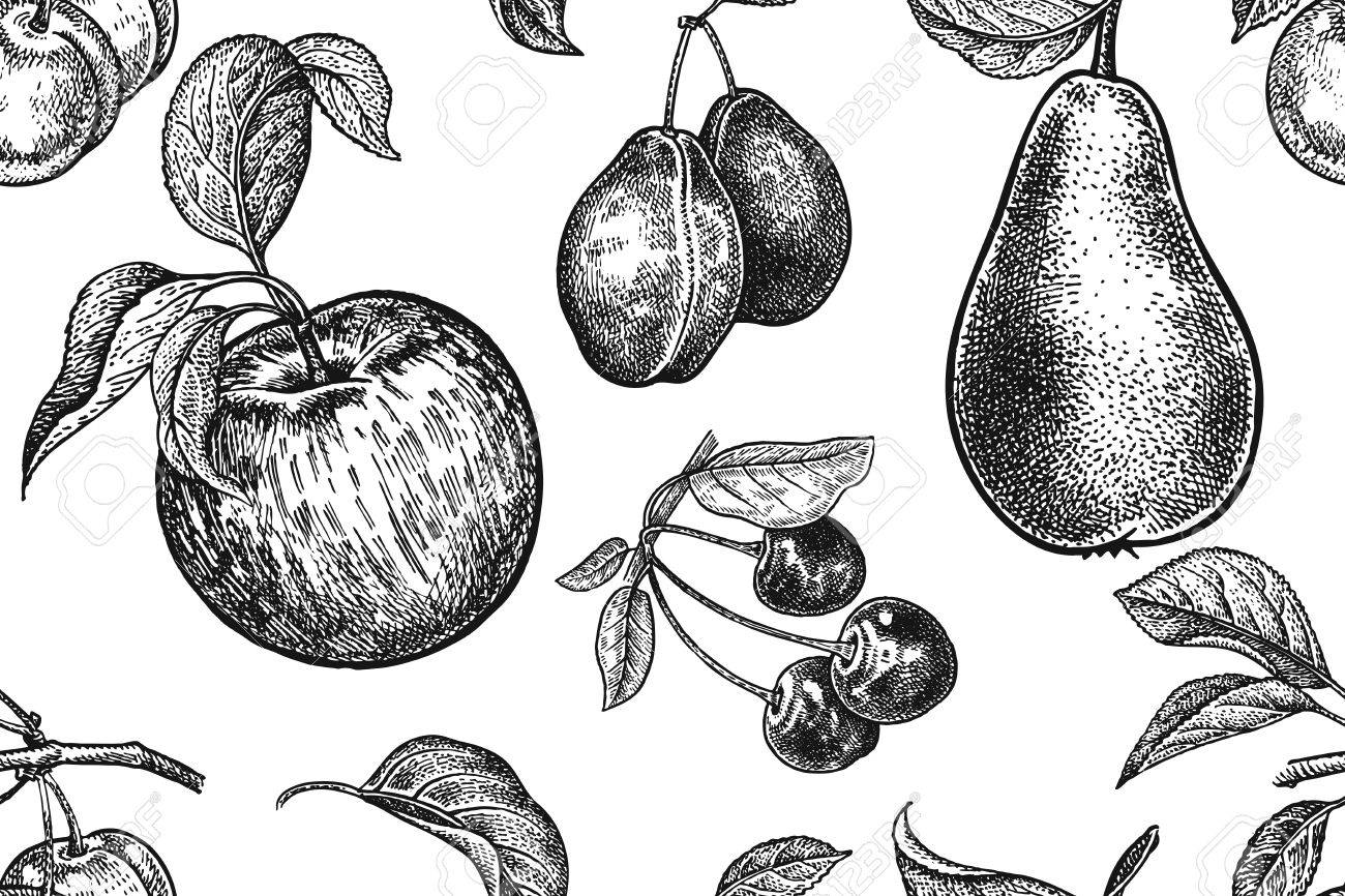 フルーツとベリーのシームレスなパターン リアルなリンゴ 梨 梅 桜 黒と白 ベクトル イラスト ビンテージの彫刻 手描き 台所設計のため自然をモチーフにしたテンプレートです のイラスト素材 ベクタ Image