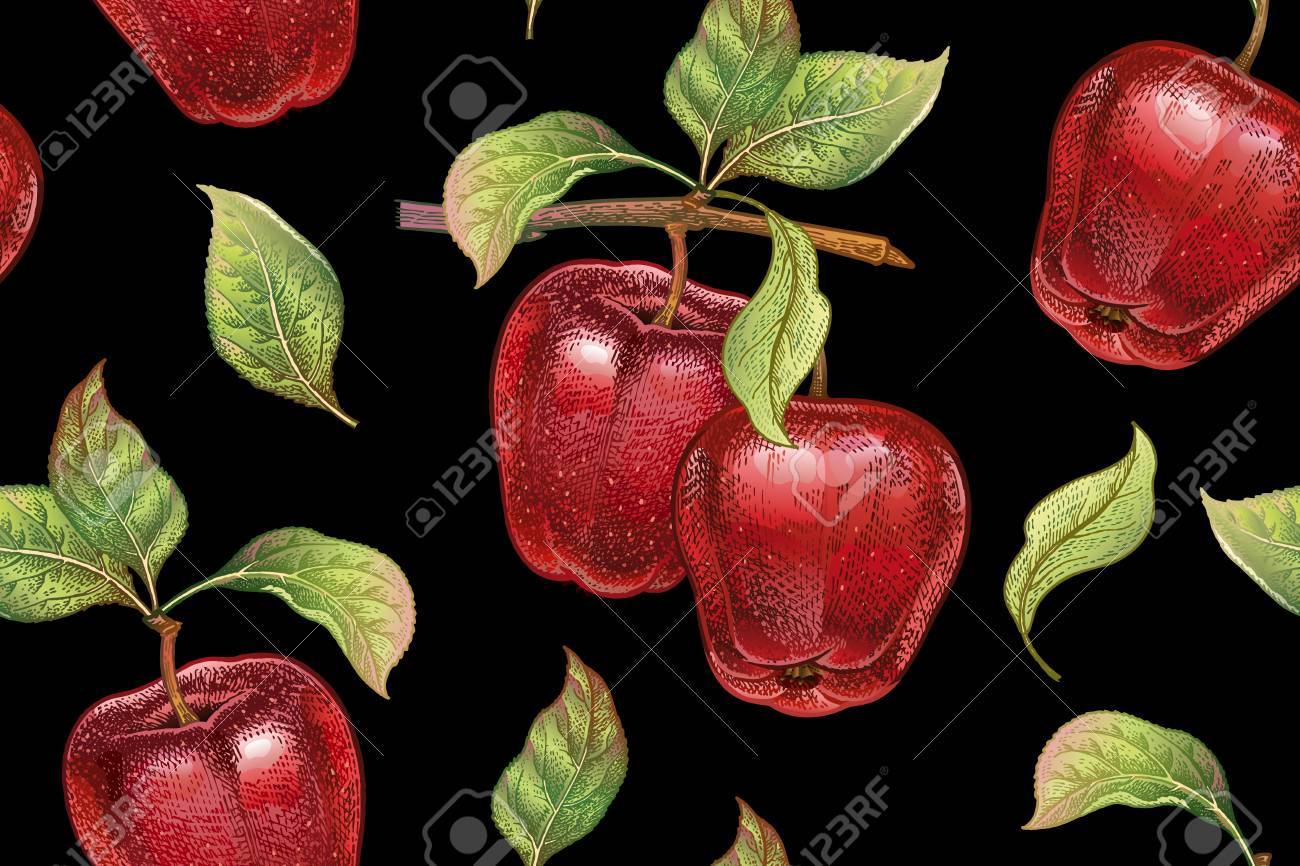 赤りんごのパターン リアルなイラストの植物 手描きの色鉛筆で 果実 葉 黒の上の木の枝 台所設計のため食品包装 ヴィンテージ のイラスト素材 ベクタ Image