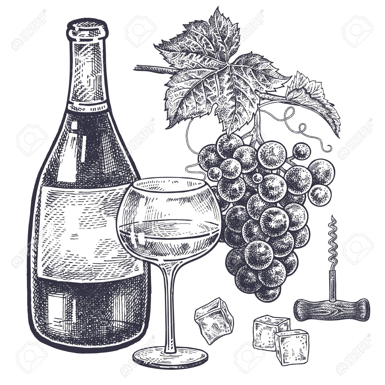 Vintage Hand Drawing On Subject Of Alcohol. Bottles With White Wine,  Grapes, Wine Glass With Drink, Ice Slices And Corkscrew. Клипарты, SVG,  векторы, и Набор Иллюстраций Без Оплаты Отчислений. Image 93126901