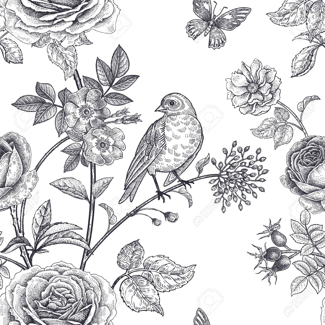 Garden Flowers Roses Peonies And Dog Rose Bird And Butterflies Royalty Free Cliparts Vectors And Stock Illustration Image 95815502
