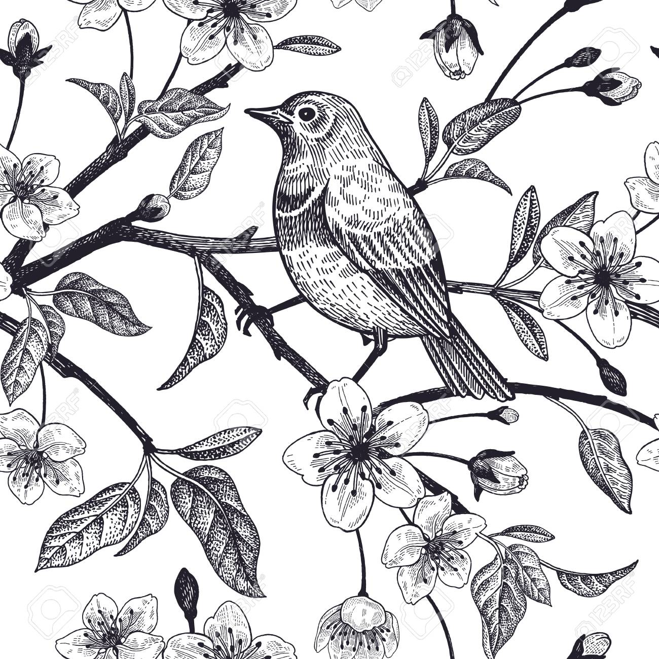 Seamless pattern with Japanese cherry and bird sketch. Vector. Black and white. - 98166011 Seamless pattern with Japanese cherry and bird sketch. Vector. Black and white. - 98166011