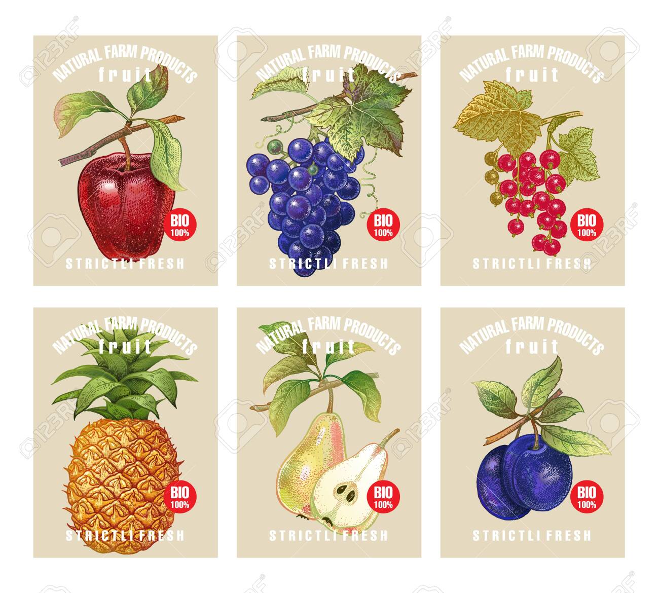 Labels With Various Fruits, Berries And Inscriptions. Set ...