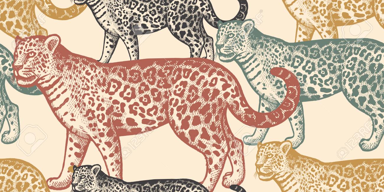 Seamless Pattern With Animals South America Jaguar Hand Drawing