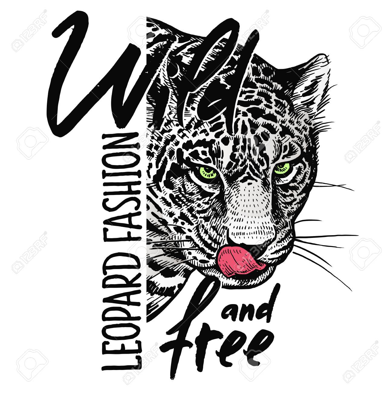 Muzzle of leopard close-up, skull and inscription "Wild and free". Template for printing on T-shirts, posters, cards. Black, white and red color. Realistic sketch. Beast style. - 122553405 Muzzle of leopard close-up, skull and inscription "Wild and free". Template for printing on T-shirts, posters, cards. Black, white and red color. Realistic sketch. Beast style. - 122553405