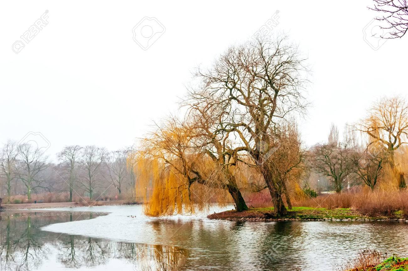 Beruhigende Natur Und Schone Winterszenen Rund Um Den See Im Zentrum Von Malmo In Schweden Lizenzfreie Fotos Bilder Und Stock Fotografie Image 50016064