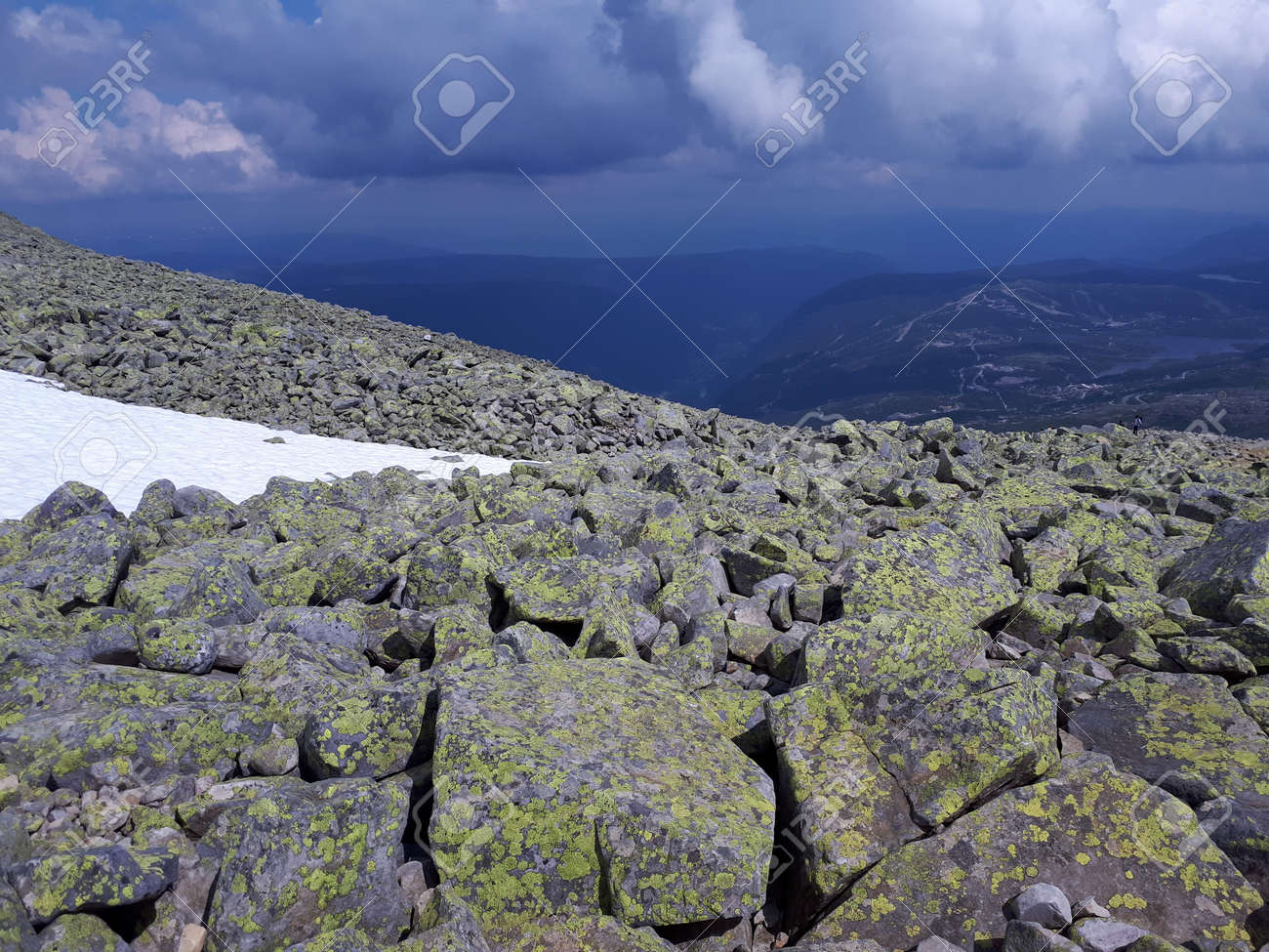 etiam-dictum-ipsum-a-felis