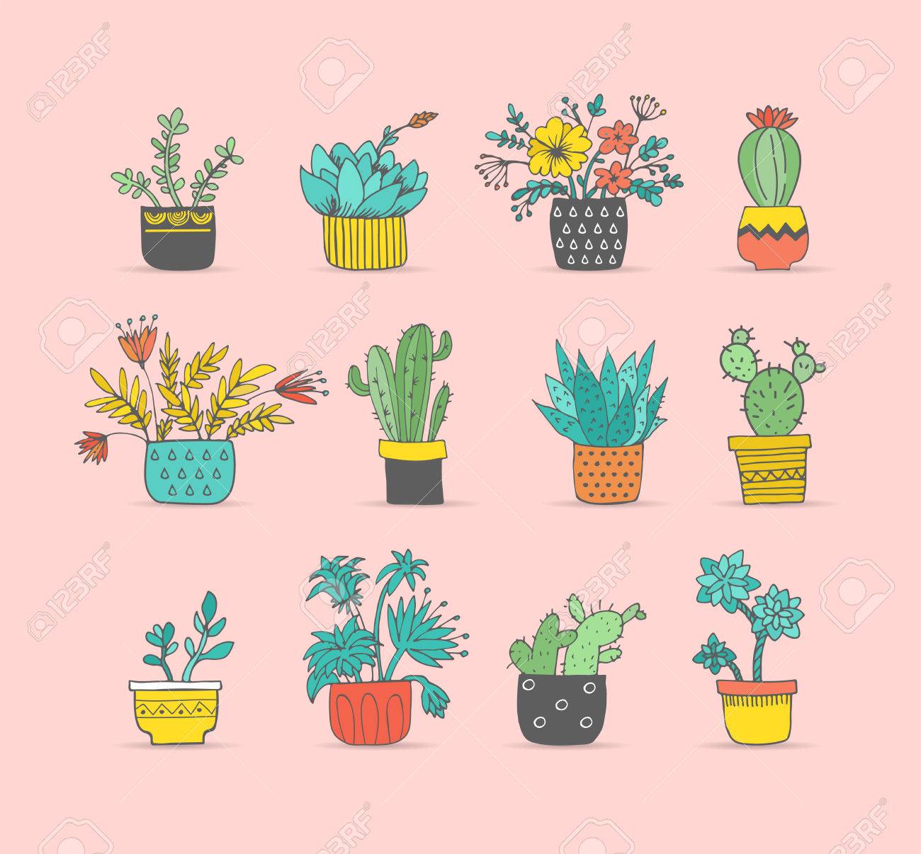 動物の島 ユニークかわいい 多肉 植物 イラスト