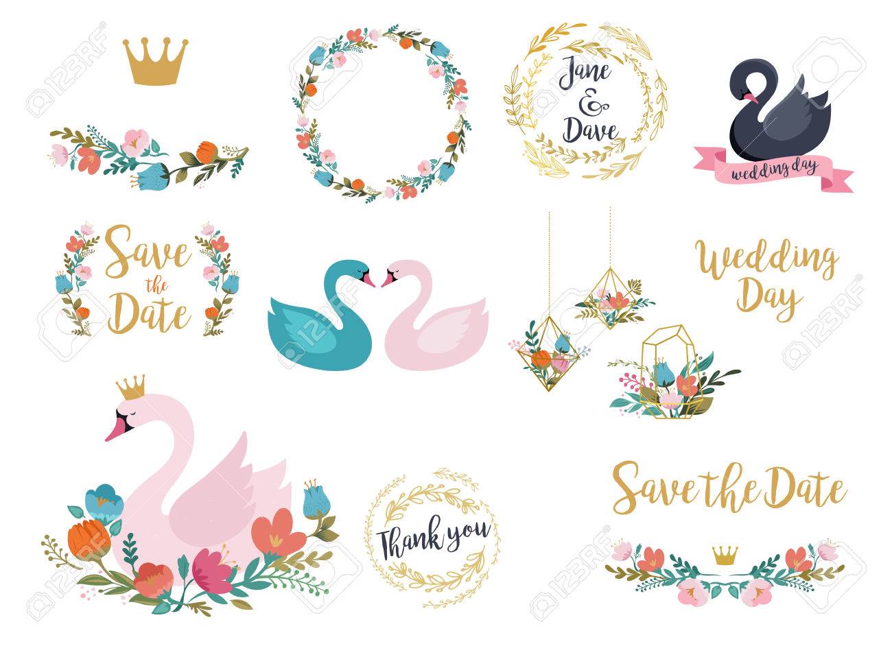 結婚式や誕生日の白鳥のイラスト レタリング 花および要素の設定 のイラスト素材 ベクタ Image