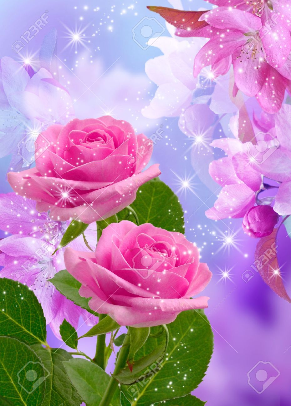 桜やバラの花と輝く星 の写真素材 画像素材 Image