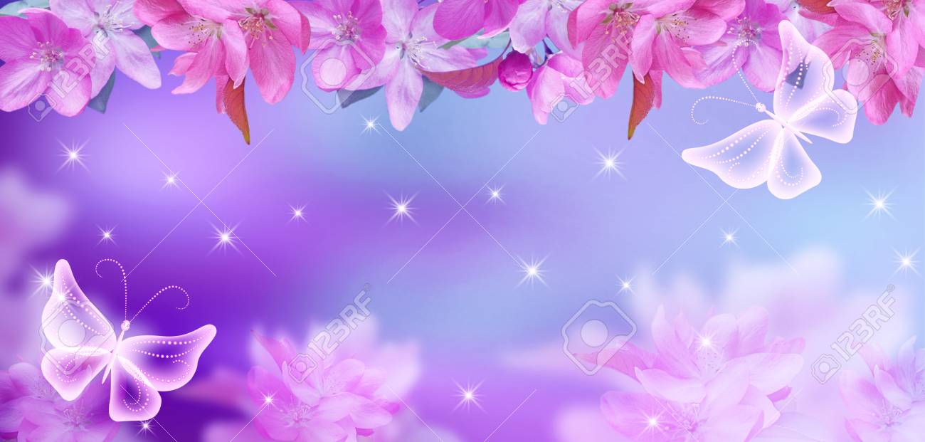 神秘的な蝶と輝く星と桜 の写真素材 画像素材 Image