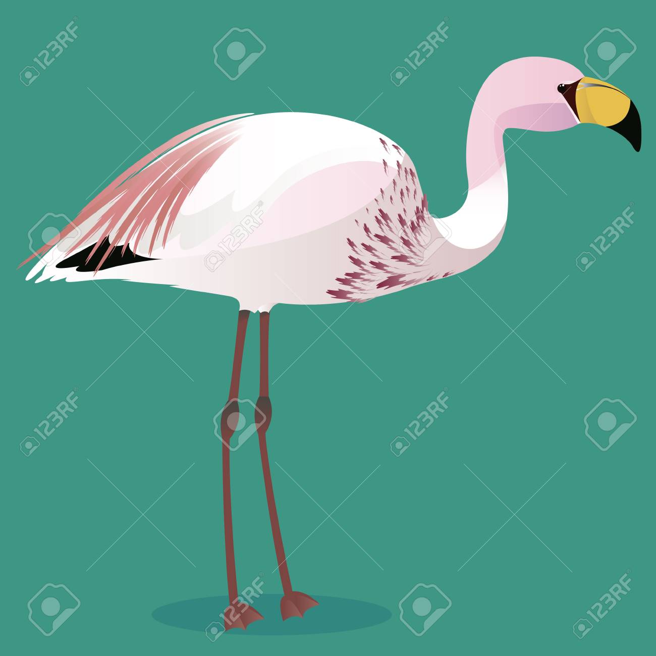 James Flamingo Cartoon Bird Royalty Free SVG, Cliparts, Vectors, and Stock  Illustration. Image 96671404., image size:1300x1300