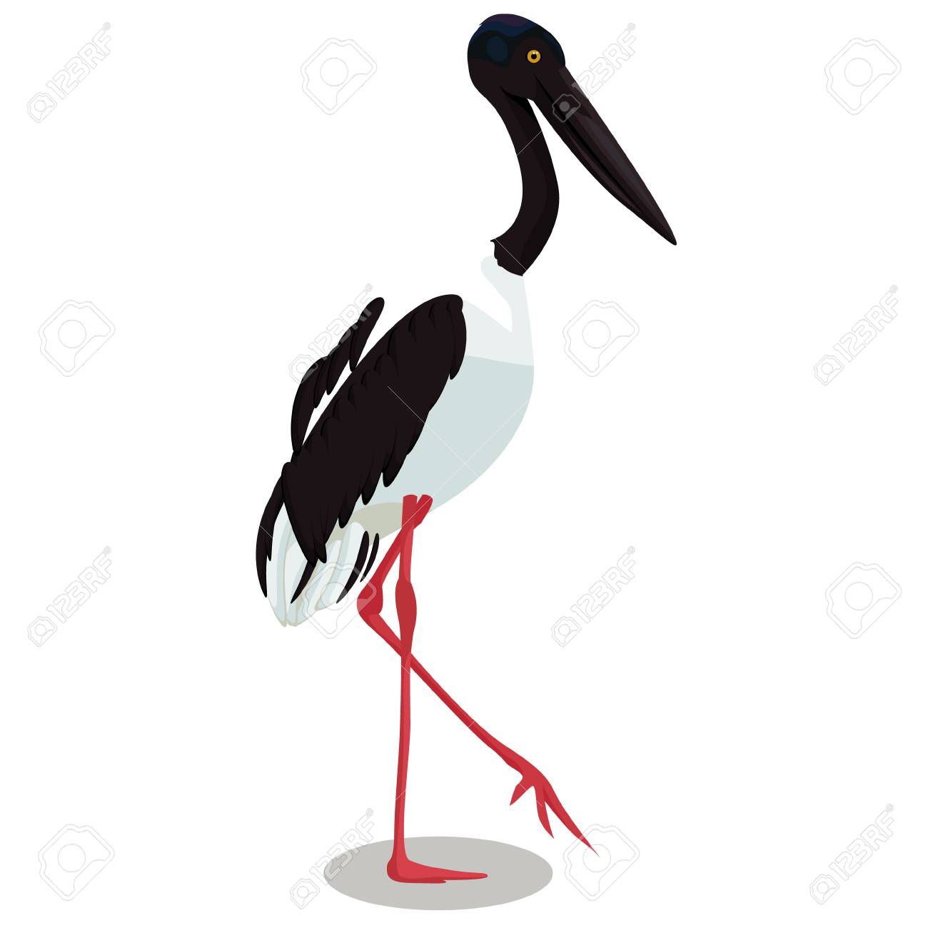 黒い首のコウノトリ漫画の鳥のベクトルイラスト のイラスト素材 ベクタ Image