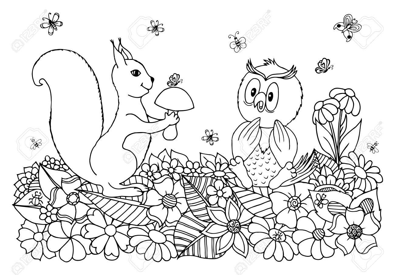 illustration d art un ecureuil parmi les fleurs donne le hibou de champignon travail fait a la main livre colorier anti stress pour adultes et enfants noir blanc clip libres coloriage gratuit religieux