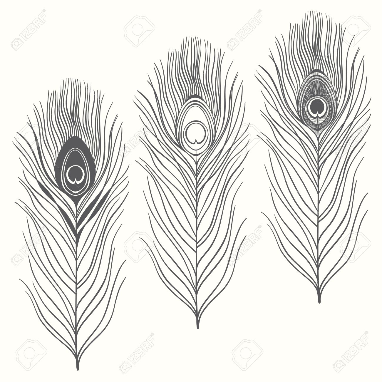 Set Of Peacock Feathers Isolated On White Background. Hand Drawn Vector  Illustration, Sketch. Elements For Design. Royalty Free SVG, Cliparts,  Vectors, and Stock Illustration. Image 35220981., image size:1300x1300