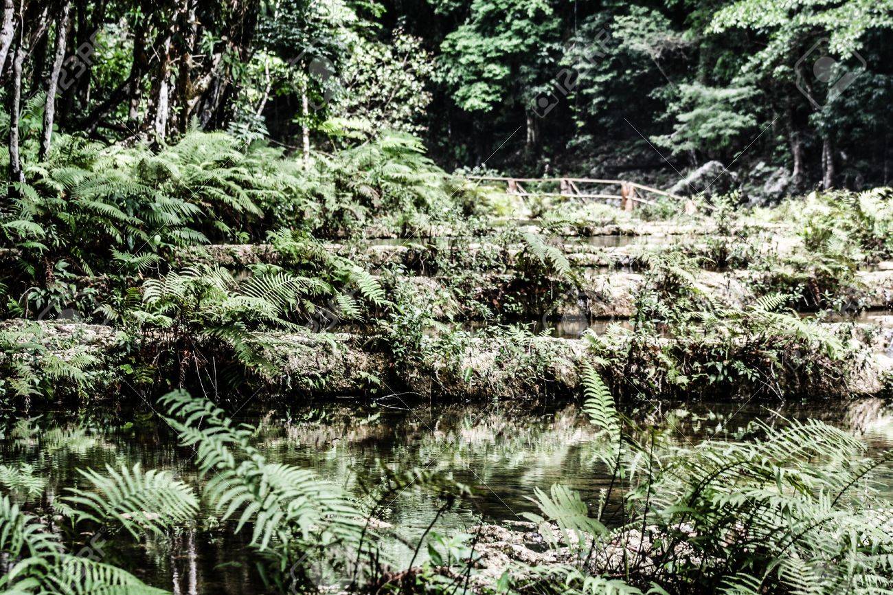 Semuc champey Guatemala paradise - 17650559 Semuc champey Guatemala paradise - 17650559