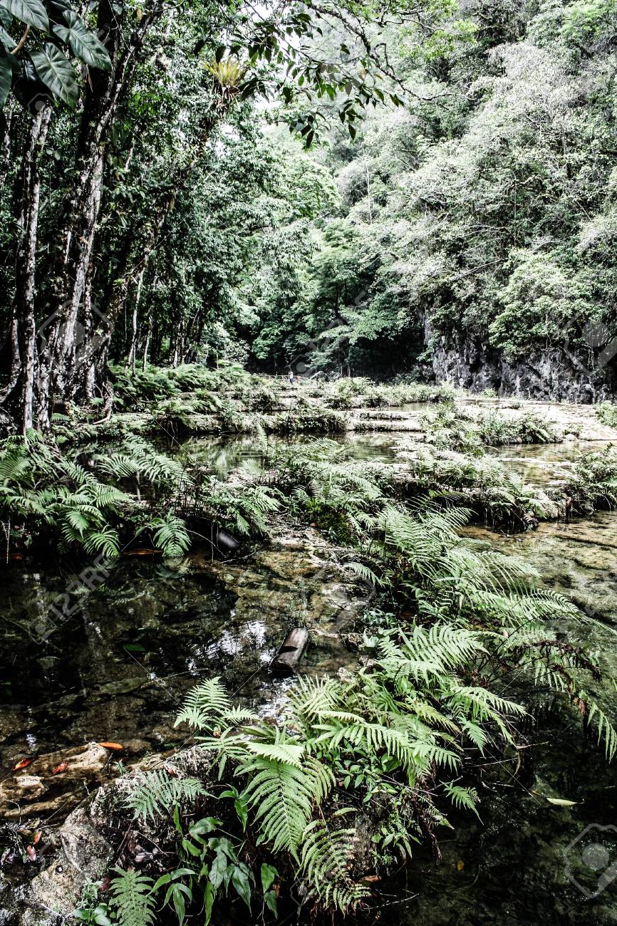 Semuc champey Guatemala paradise - 17653438 Semuc champey Guatemala paradise - 17653438
