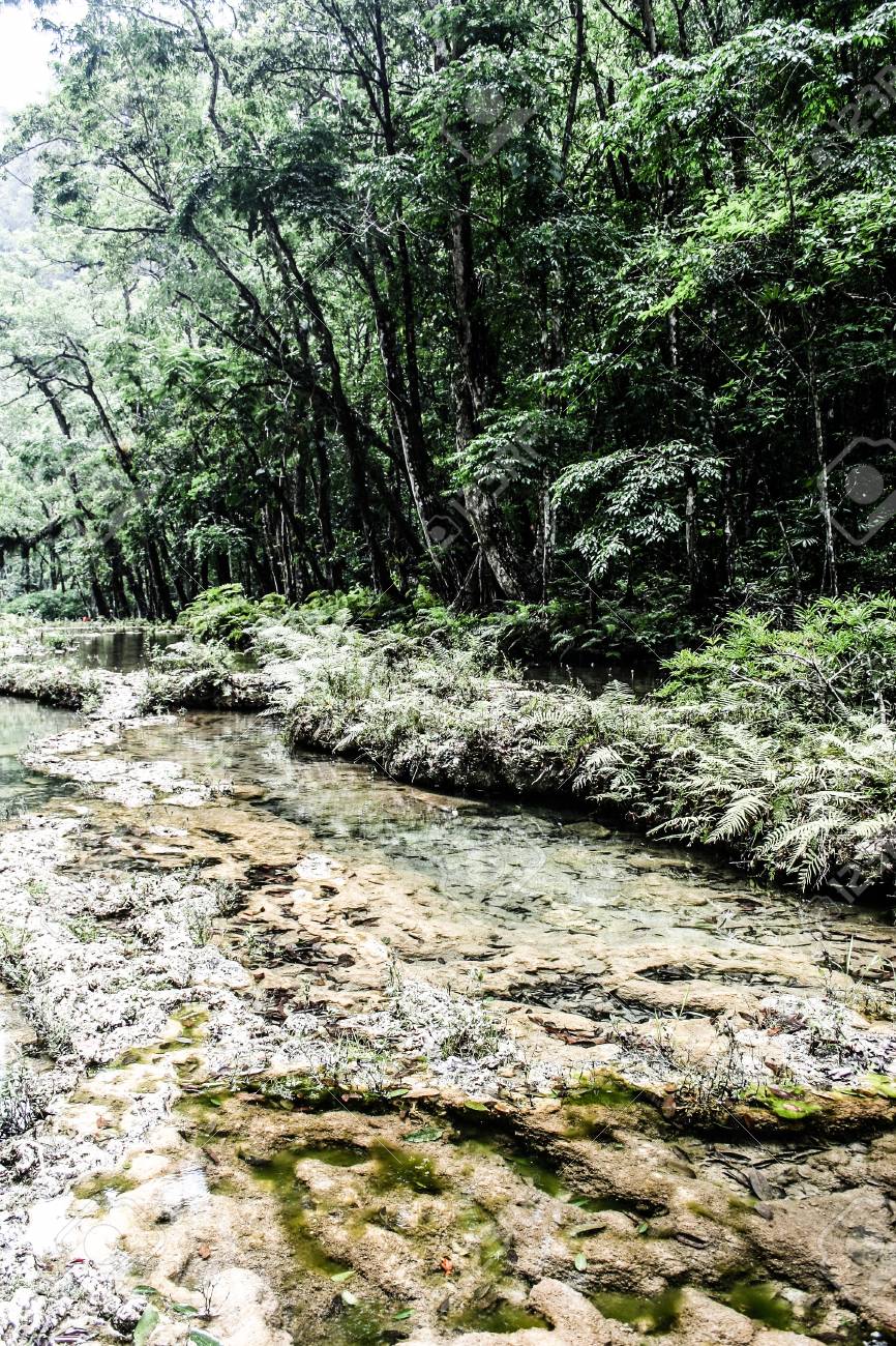 Semuc champey Guatemala paradise - 17652904 Semuc champey Guatemala paradise - 17652904