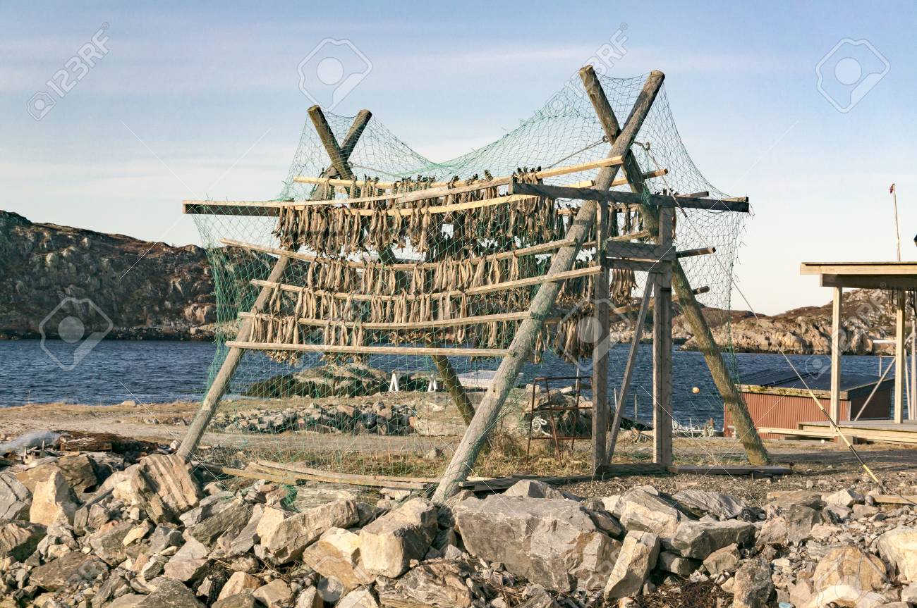 ä¹¾ç¥ãã¬ã¼ã¯ Hjell å¤§è¥¿æ´ã¿ã©å¹²ãé­ã¤ã é¤æ®ã¨ Froya Hitra ã®å°å ãã«ã¦ã§ã¼ ãã«ã¦ã§ã¼æµ·ã®å¹¸ ã®åçç´ æ ç