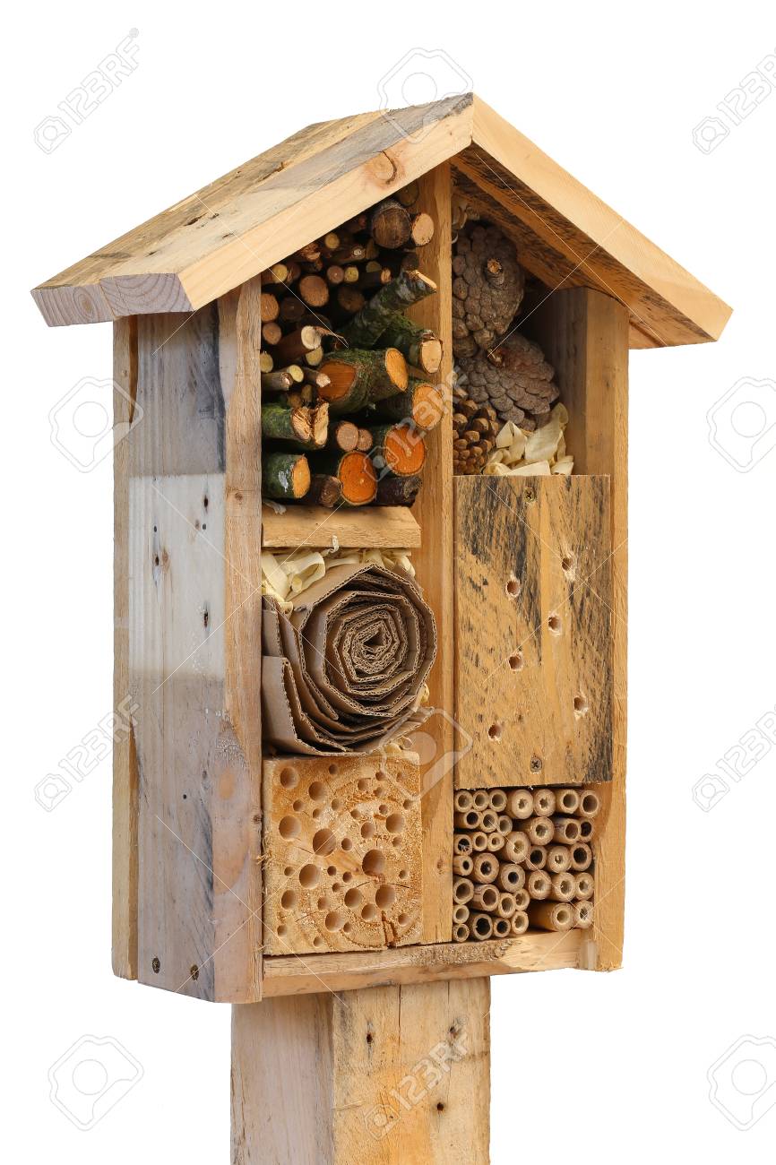 Holzinsekten Dekorative Haus Bug Hotel Marienkafer Und Biene