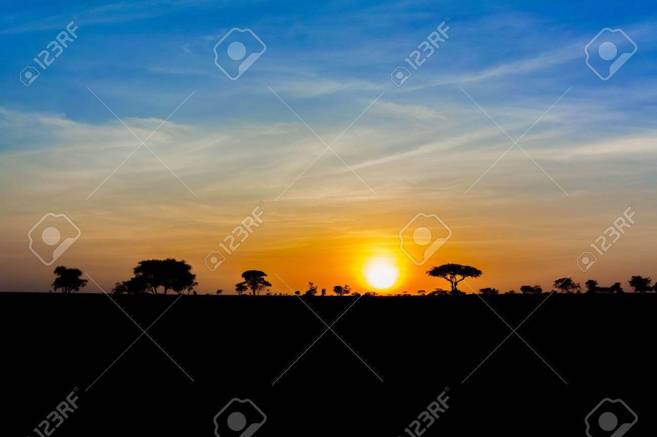 風光明媚な東アフリカのタンザニアでサバンナ風景夕日 の写真素材 画像素材 Image 風光明媚な東アフリカのタンザニアでサバンナ風景夕日 の写真素材 画像素材 Image