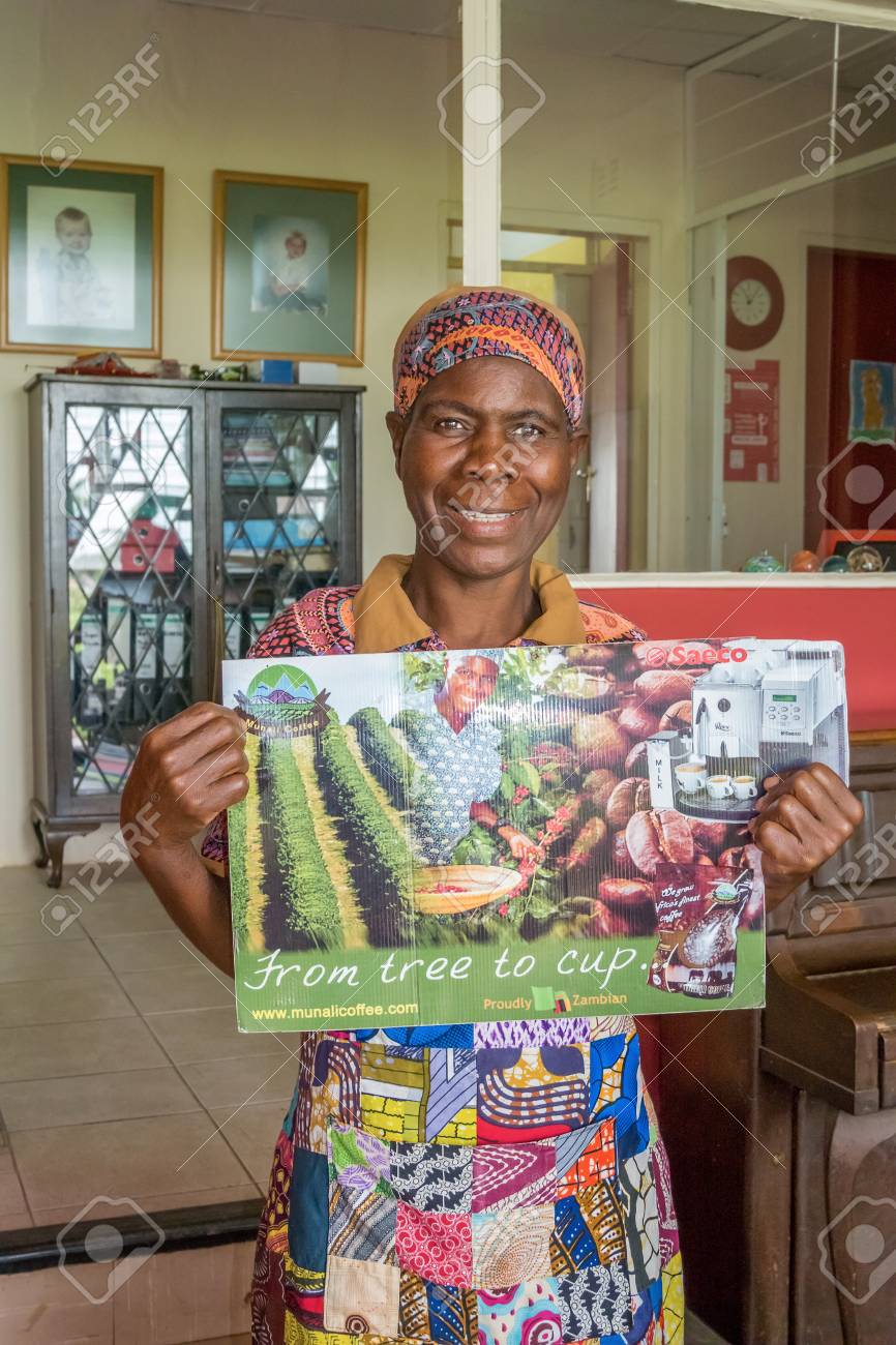 ルサカ ザンビア 15 年 4 月 4 日 ザンビアのルサカの近くの Munali のコーヒー農場で働く女性像 の写真素材 画像素材 Image