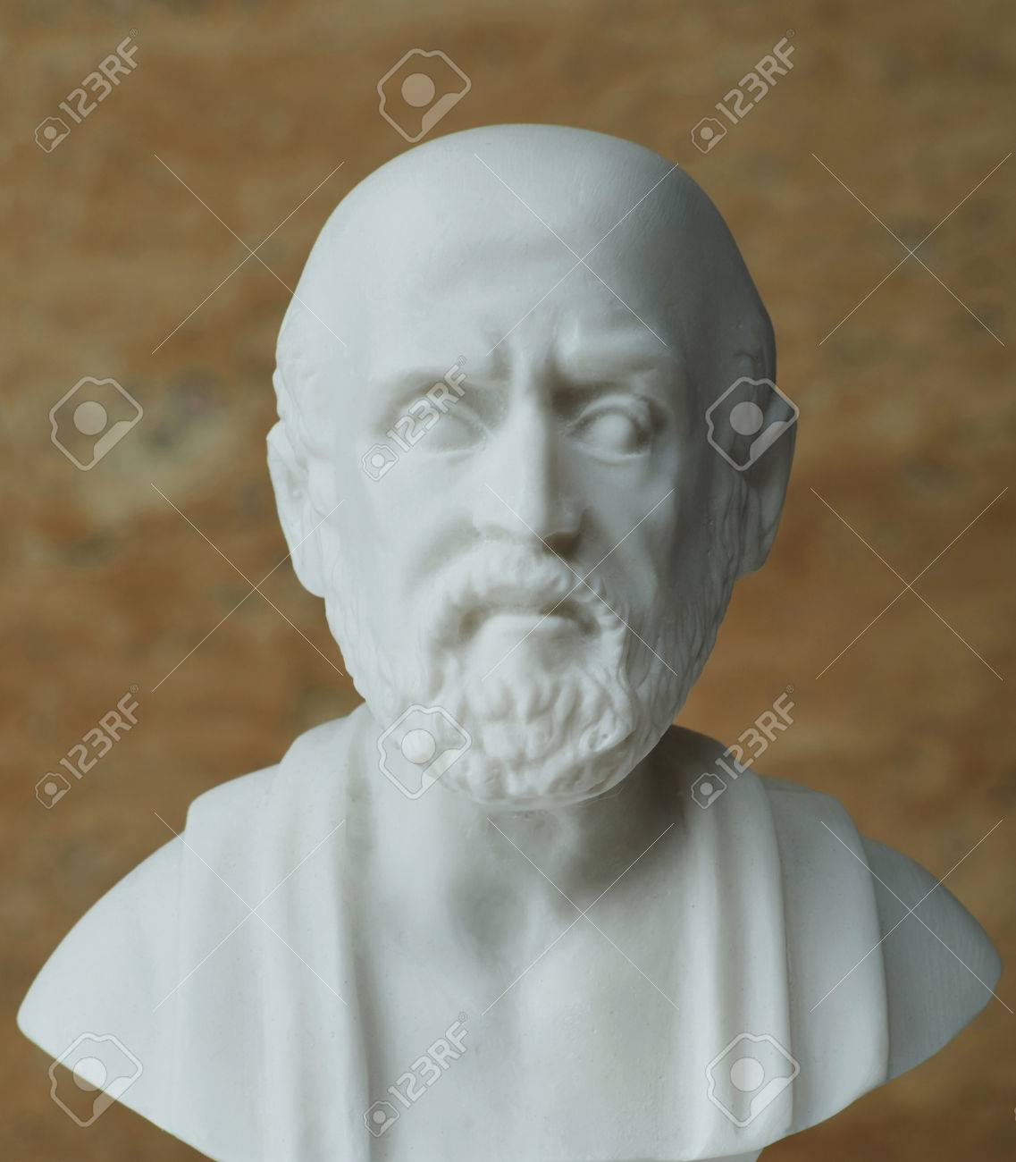 専門店では ヒポクラテス立像 彫刻 オブジェクト Thermoclima Cl