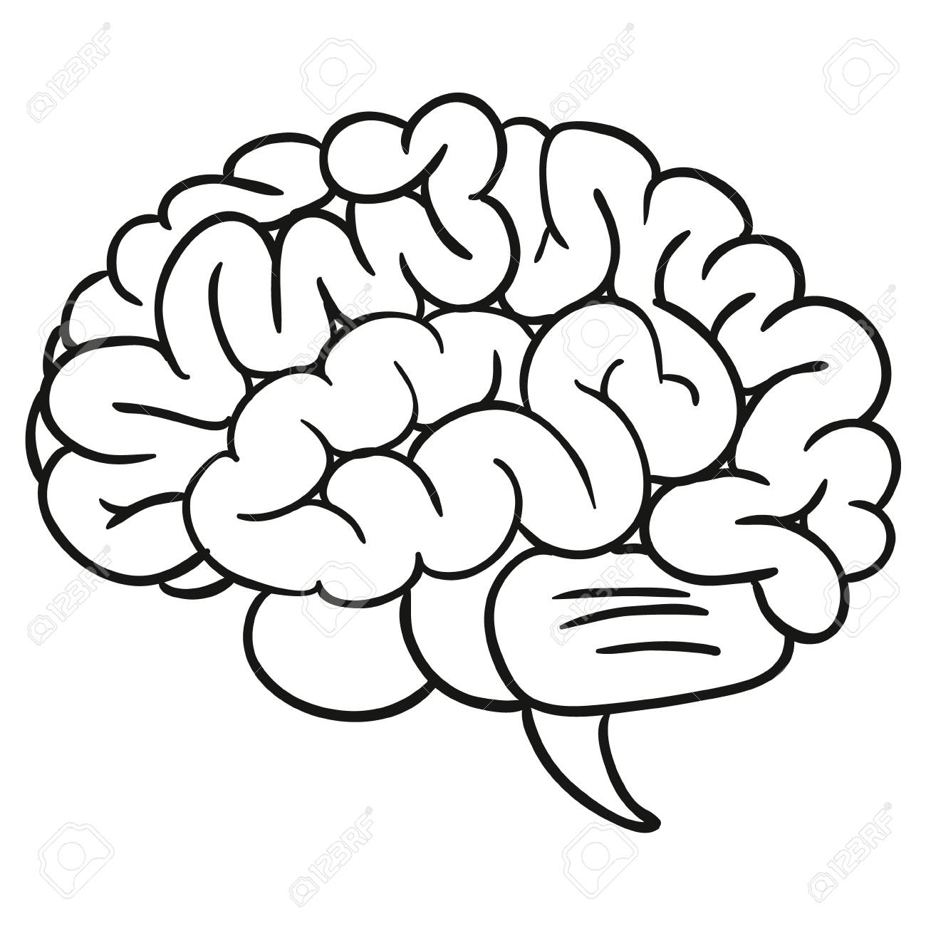 doodle human brain vector illustration royalty free cliparts brain vector