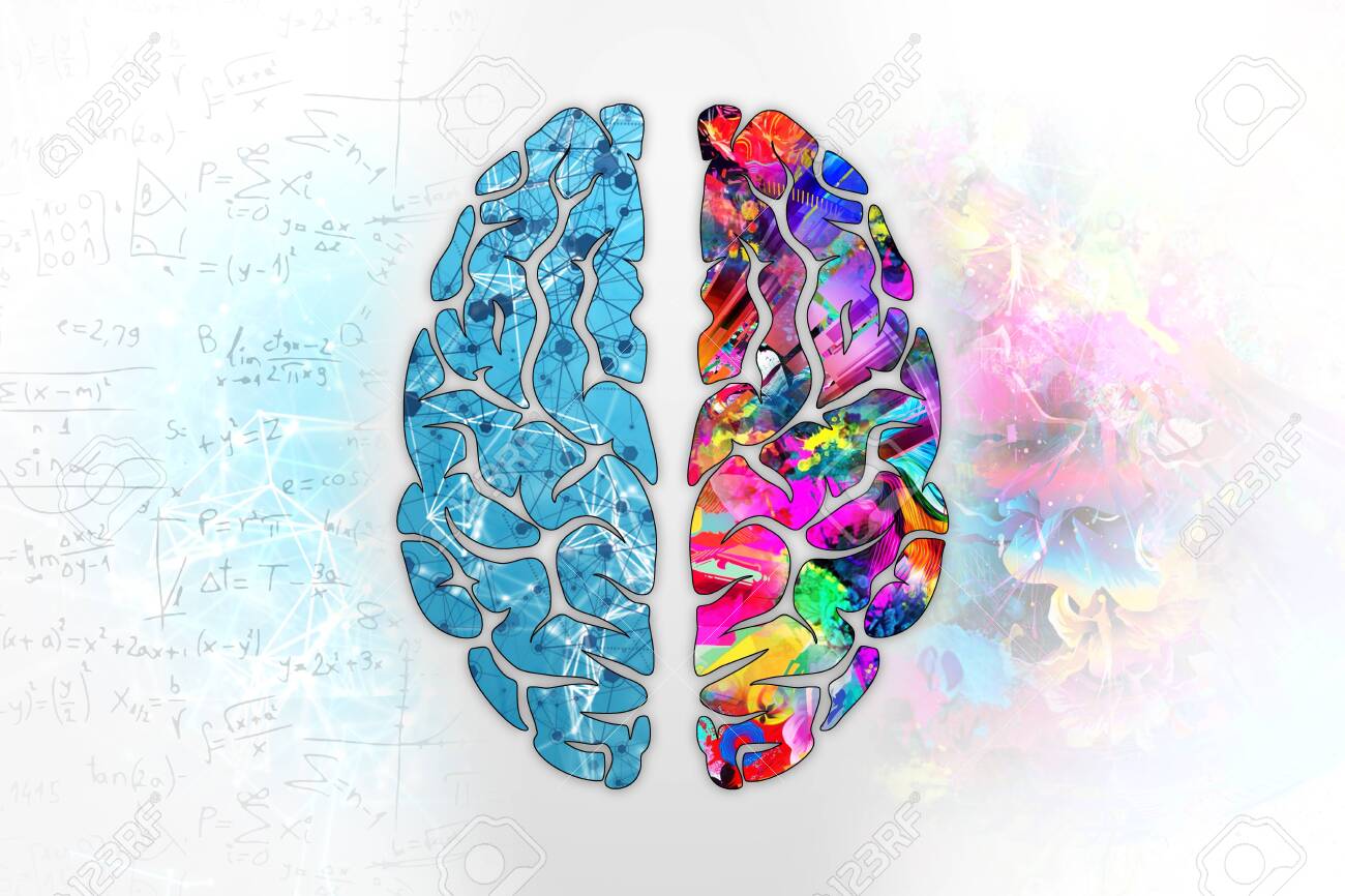 Illustration of a human brain, top view. Different halves of the human brain. The creative half and logical half of the human mind. - 121998132 Illustration of a human brain, top view. Different halves of the human brain. The creative half and logical half of the human mind. - 121998132