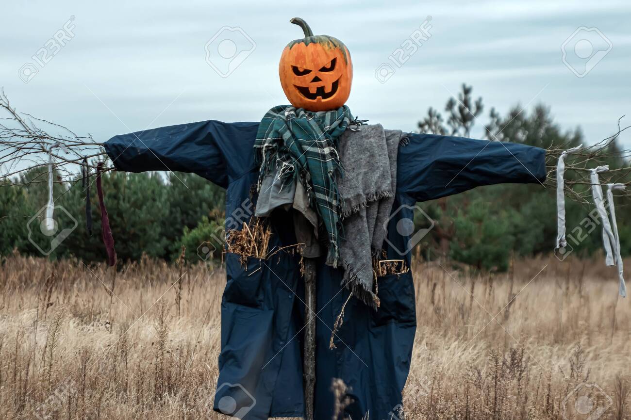 131010398-a-scary-scarecrow-with-a-halloween-pumpkin-head-in-a-field-in-cloudy-weather-halloween-background.jpg