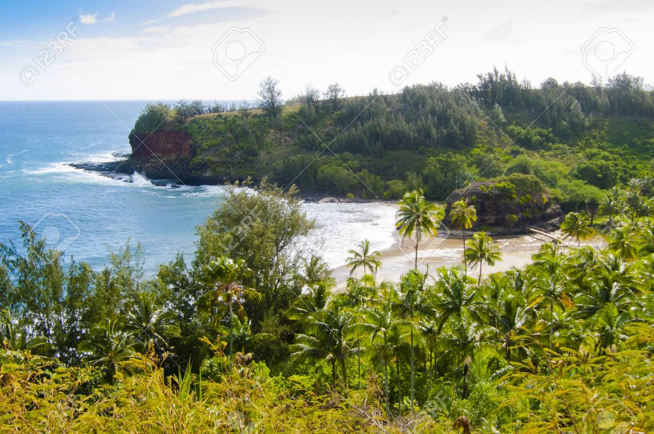 ハワイ可愛い夏のビーチアメリカ合衆国 の写真素材 画像素材 Image