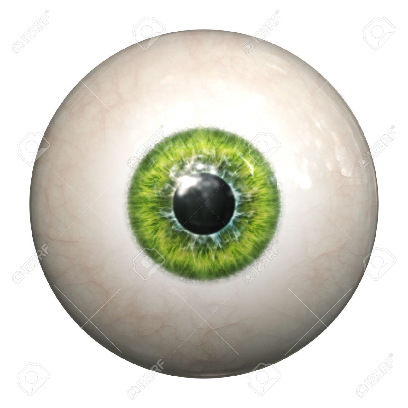 16103264-an-image-of-an-isolated-green-eyeball.jpg