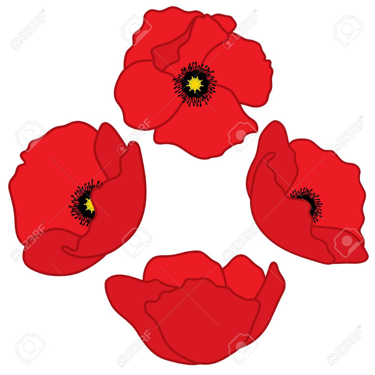 Vector Amapolas Rojas Amapola Ilustracion Vectorial Ilustraciones Vectoriales Clip Art Vectorizado Libre De Derechos Image