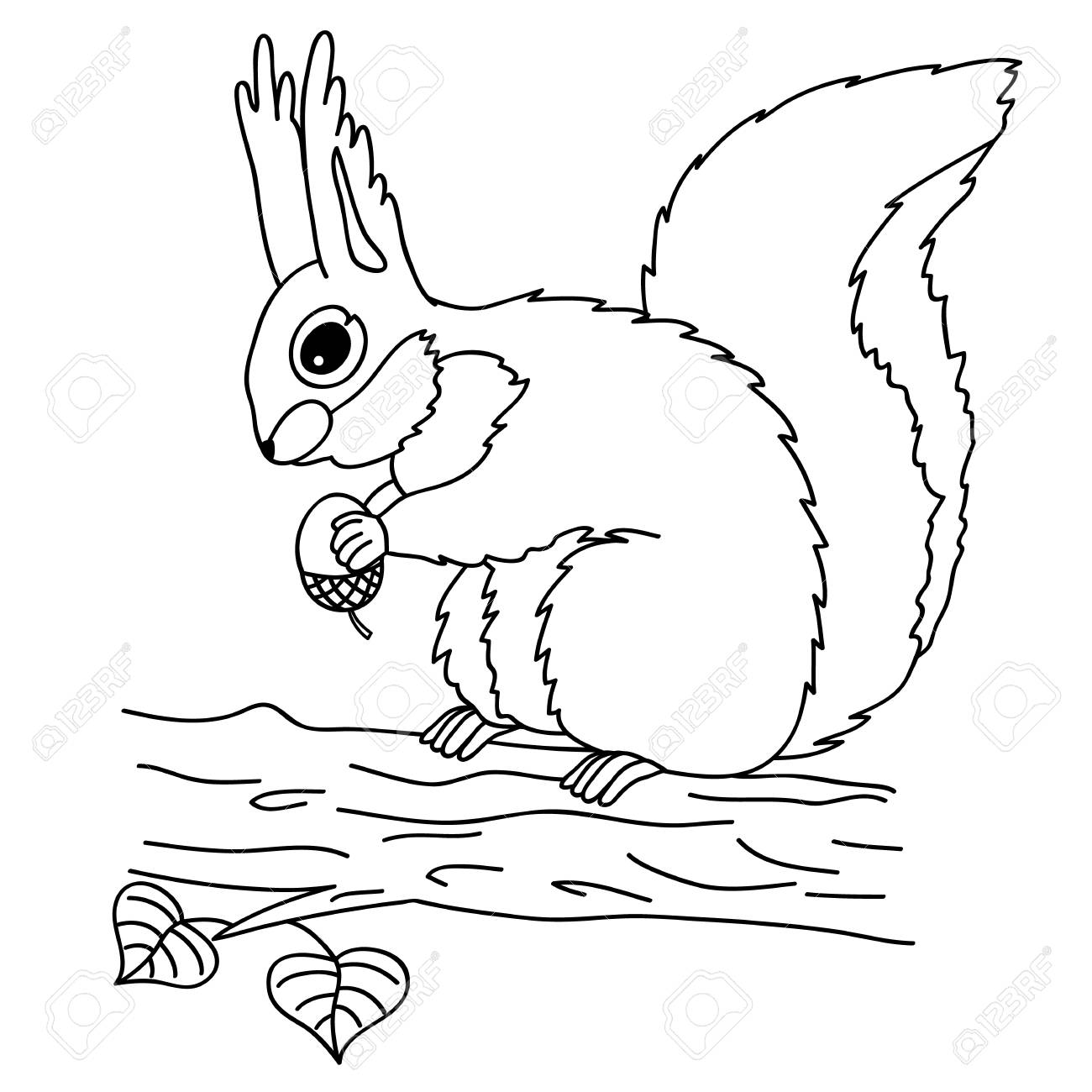 ドングリの木の上に座ってリスで黒と白のベクトル ベクトルのリス リスのベクトル図のイラスト素材 ベクタ Image 88131303