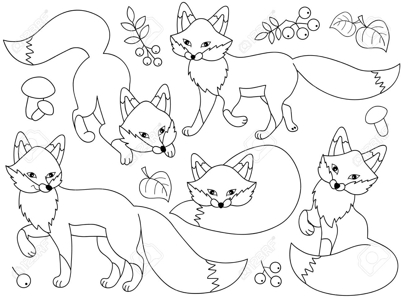 黒と白のかわいい漫画のキツネ 葉 果実やキノコのベクトルセット ベクターフォックスキツネベクトルイラスト のイラスト素材 ベクタ Image 1177
