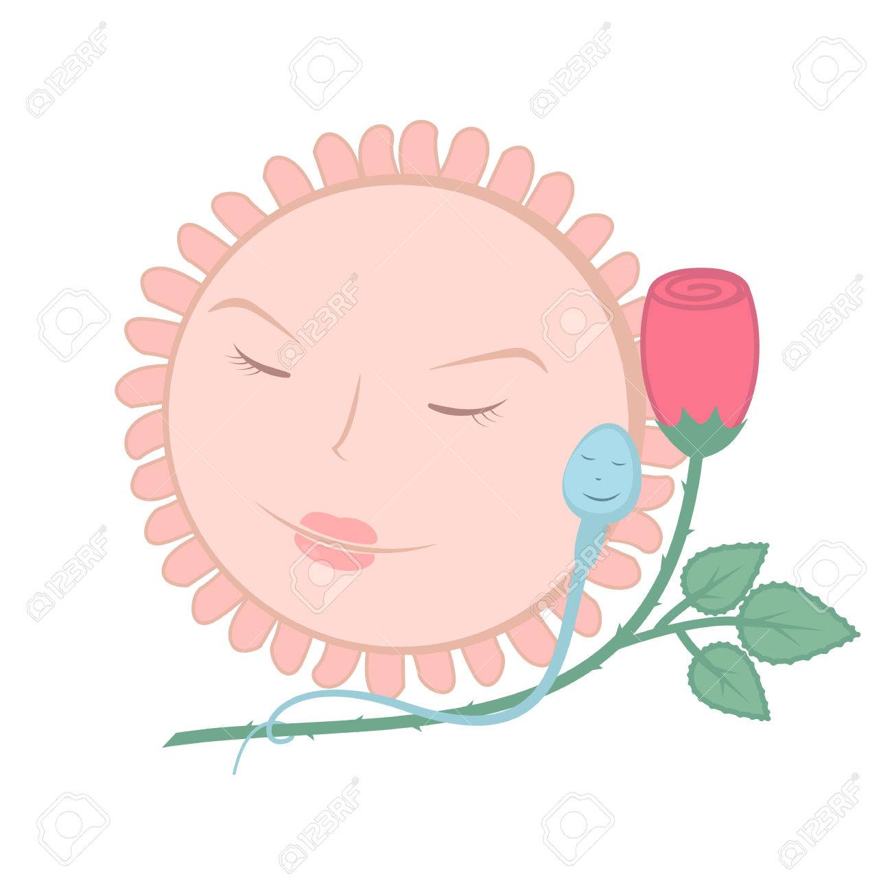 Sperm And Egg, The Concept Of picture