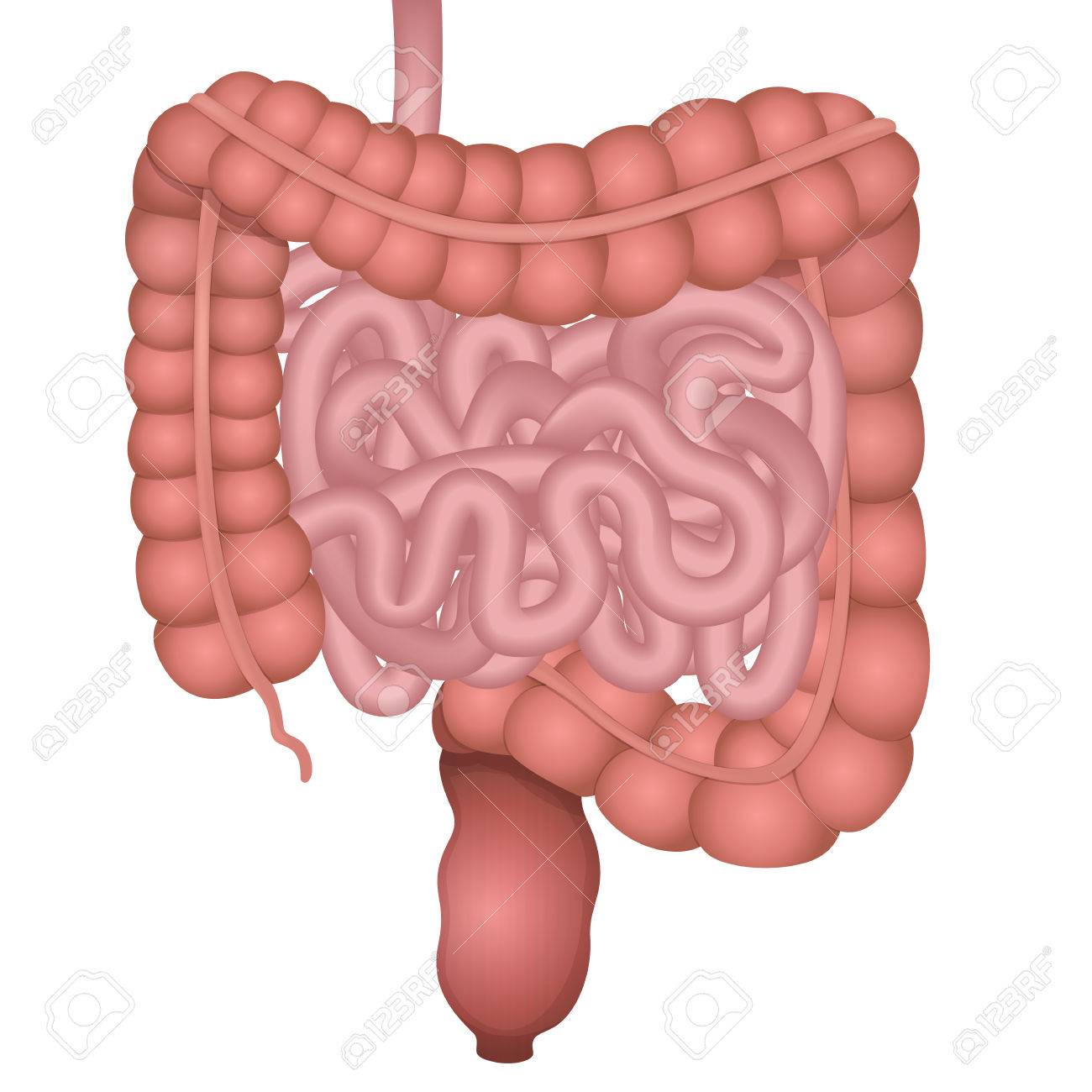 circuit structure of the
