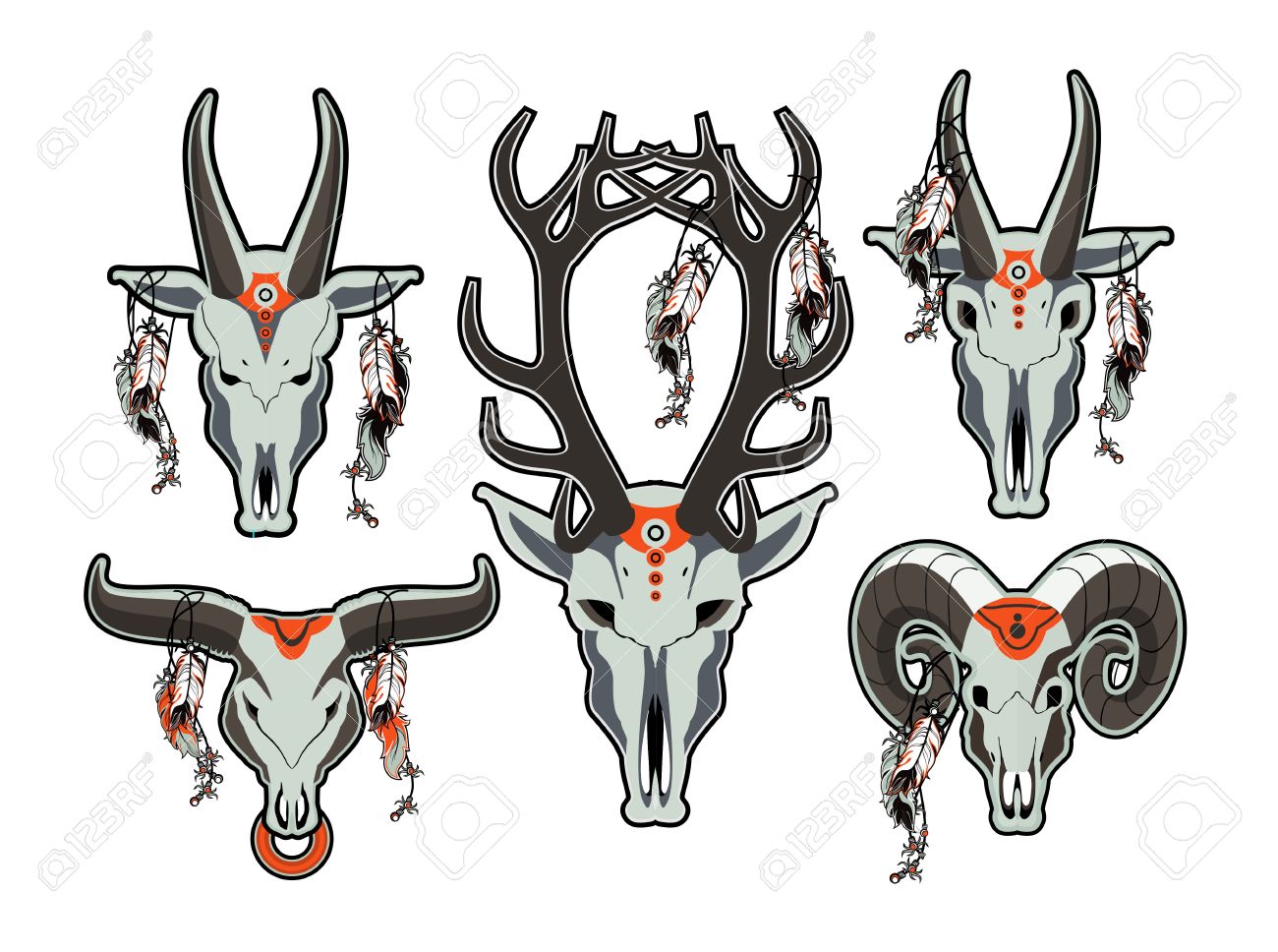 白い背景の上の角を持つベクトル異なる動物の頭骨のセット のイラスト素材 ベクタ Image
