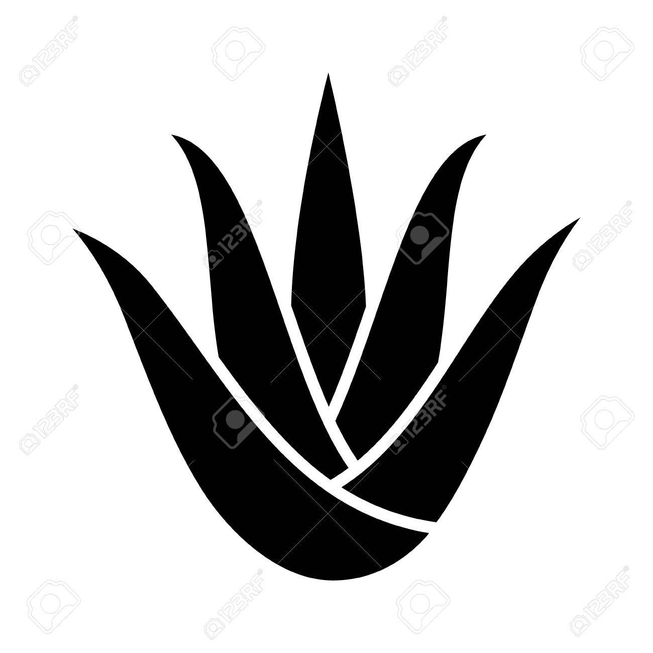 Aloe vera plant with leaves flat icon for apps and websites - 66078508 Aloe vera plant with leaves flat icon for apps and websites - 66078508
