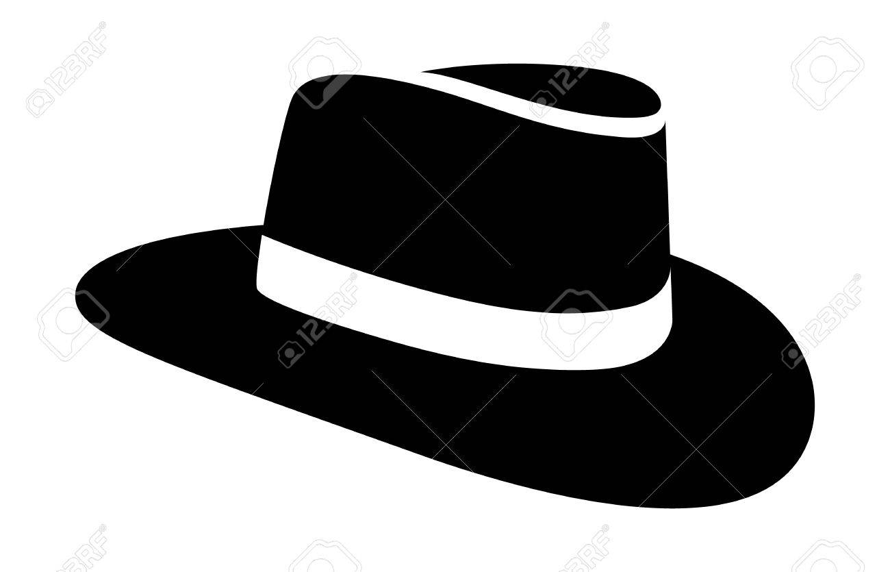 stetson flat brim cowboy hat