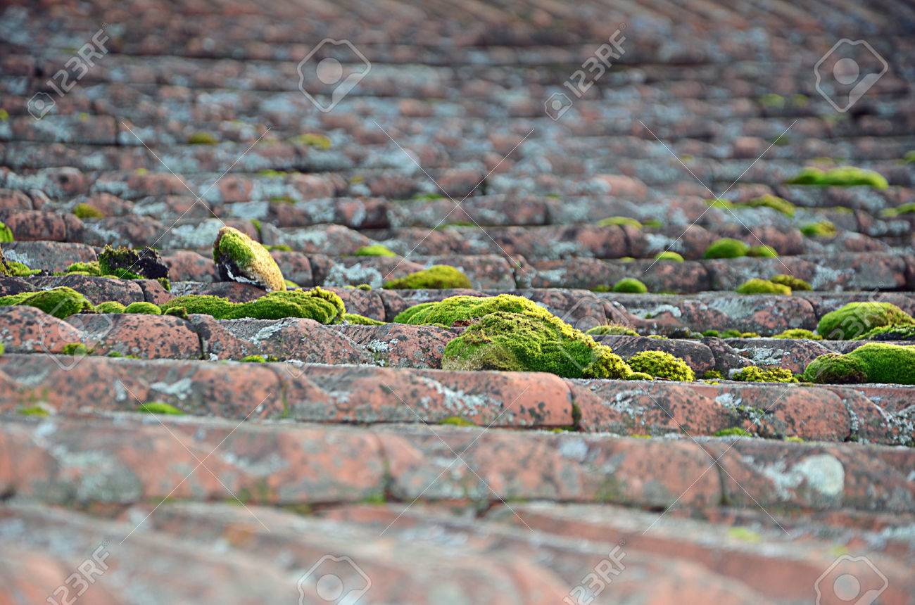 architektonische detailfotografie wohnanlage alte dachziegel mit grünem moos detail fotografie bedeckt standardbild 55619403 mit grünem bedeckt architektonische detailfotografie wohnanlage alte dachziegel mit grünem moos detail fotografie bedeckt standardbild 55619403 mit grünem bedeckt